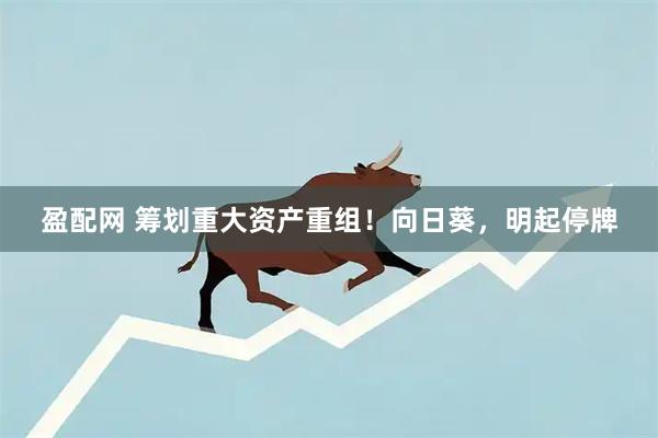 盈配网 筹划重大资产重组！向日葵，明起停牌