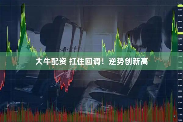 大牛配资 扛住回调！逆势创新高