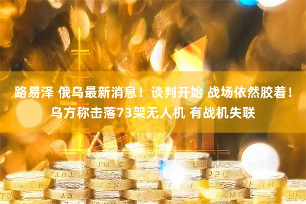 路易泽 俄乌最新消息！谈判开始 战场依然胶着！乌方称击落73架无人机 有战机失联