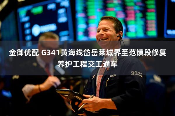 金御优配 G341黄海线岱岳莱城界至范镇段修复养护工程交工通车