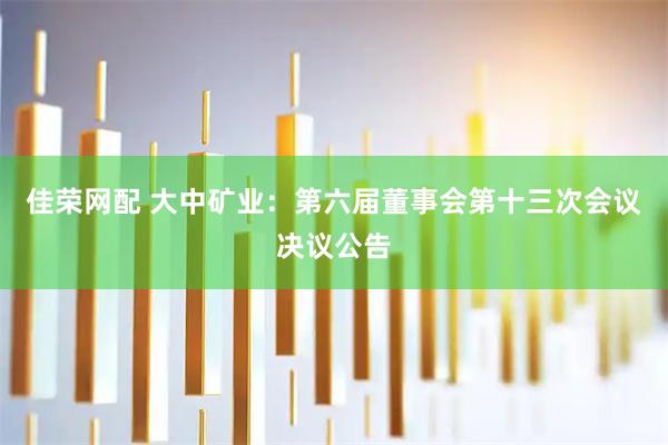佳荣网配 大中矿业：第六届董事会第十三次会议决议公告