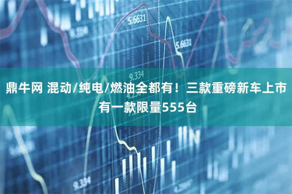 鼎牛网 混动/纯电/燃油全都有！三款重磅新车上市 有一款限量555台