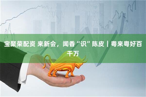 宝聚荣配资 来新会，闻香“识”陈皮｜粤来粤好百千万