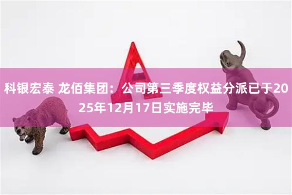 科银宏泰 龙佰集团：公司第三季度权益分派已于2025年12月17日实施完毕