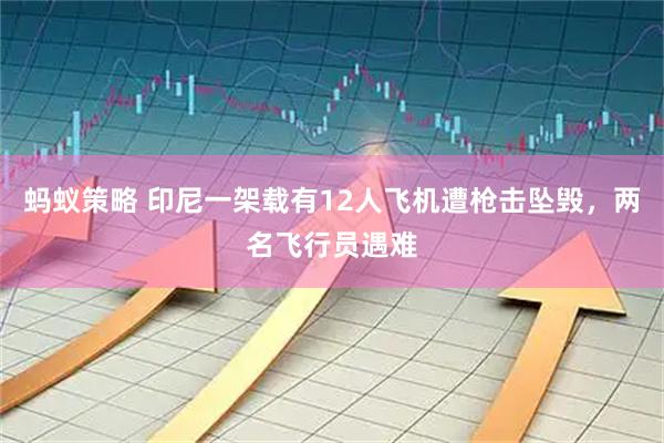 蚂蚁策略 印尼一架载有12人飞机遭枪击坠毁，两名飞行员遇难