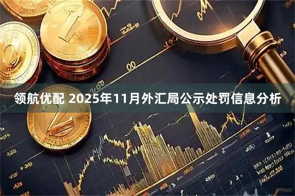 领航优配 2025年11月外汇局公示处罚信息分析