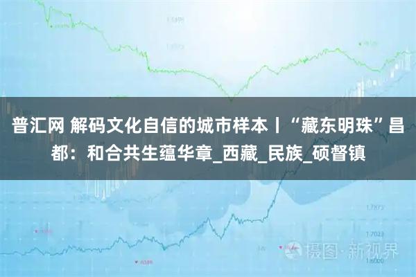 普汇网 解码文化自信的城市样本丨“藏东明珠”昌都：和合共生蕴华章_西藏_民族_硕督镇