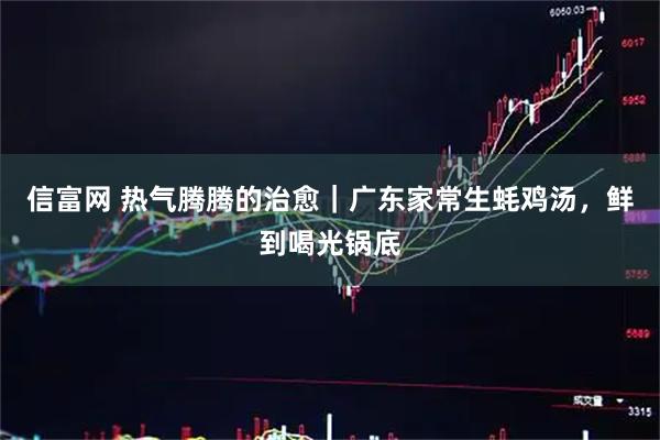 信富网 热气腾腾的治愈｜广东家常生蚝鸡汤，鲜到喝光锅底